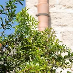 Il Borgo Del Principino