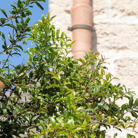 Il Borgo Del Principino