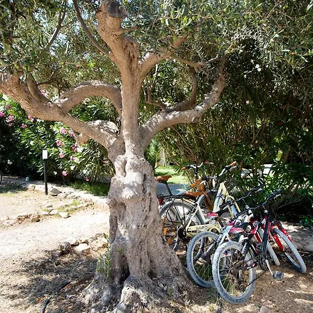 Aparthotel Il Borgo Del Principino Favignana