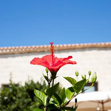 Il Borgo Del Principino Favignana